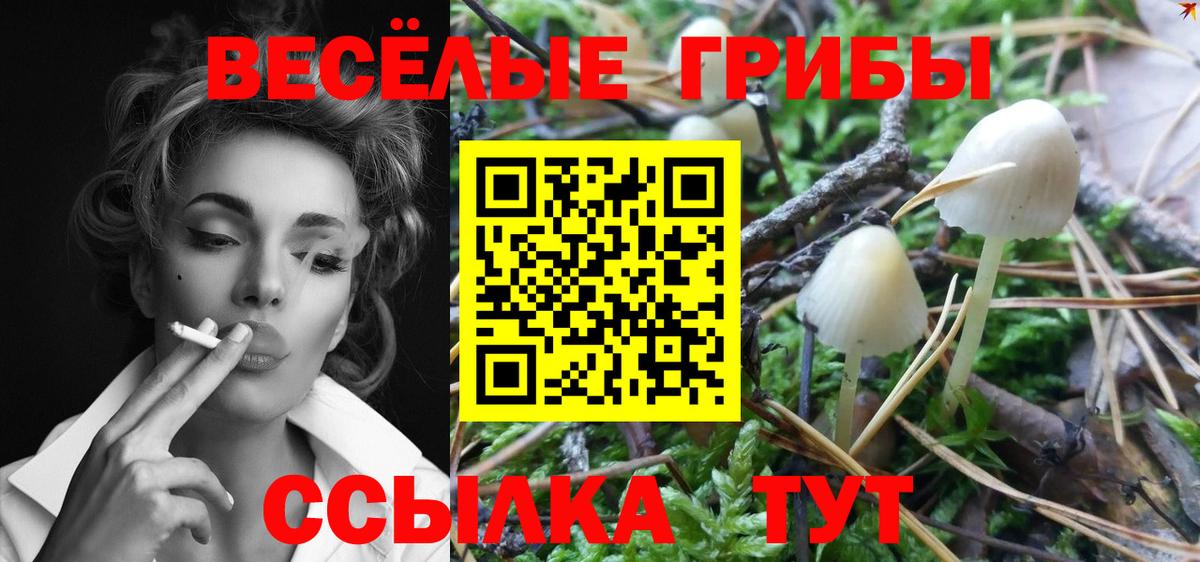 где купить наркоту  Псилоцибиновые грибы ЛСД  Вход с VPN  Псилоцибиновые грибы Psilocybine cubensis  Липецк 